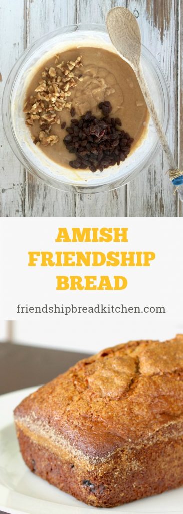 https://www.friendshipbreadkitchen.com/wp-content/uploads/2011/02/Amish-Friendship-Bread-from-the-Friendship-Bread-Kitchen-366x1024.jpg