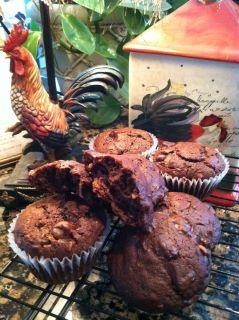 Double Chocolate Chip Coconut Amish Friendship Bread Muffins by Sandy Kelley-Jones | friendshipbreadkitchen.com