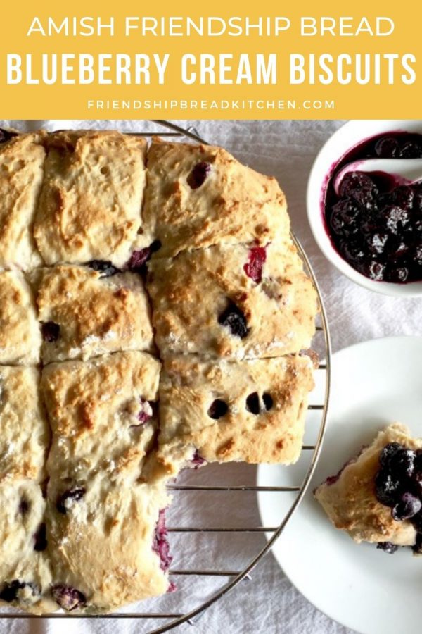 Blueberry Cream Amish Friendship Bread Biscuits