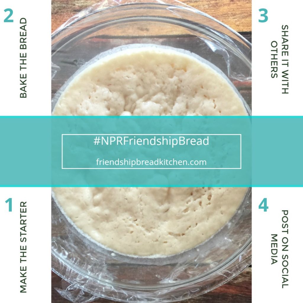 NPR Friendship Bread Project 1024x1024 