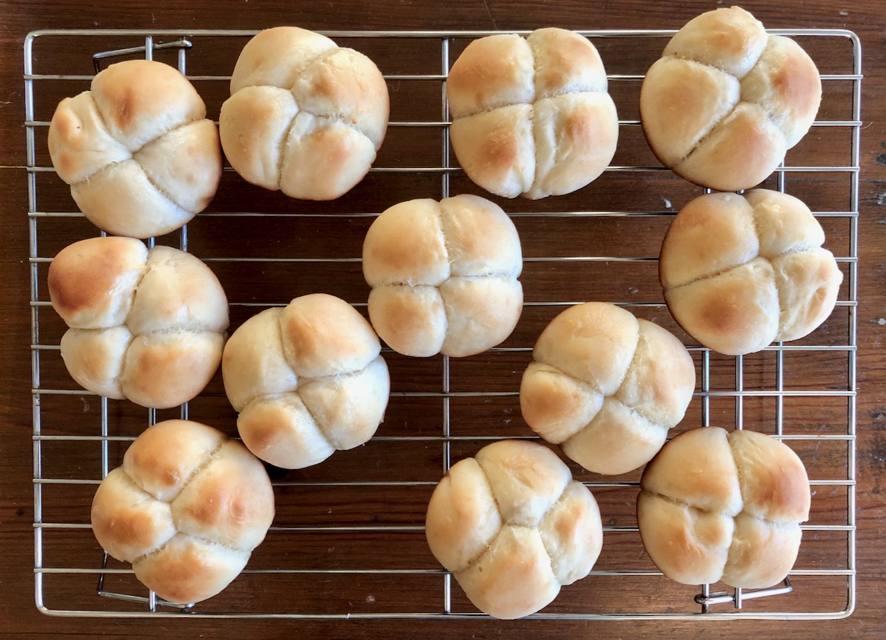 Amish Friendship Bread Cloverleaf Dinner Rolls