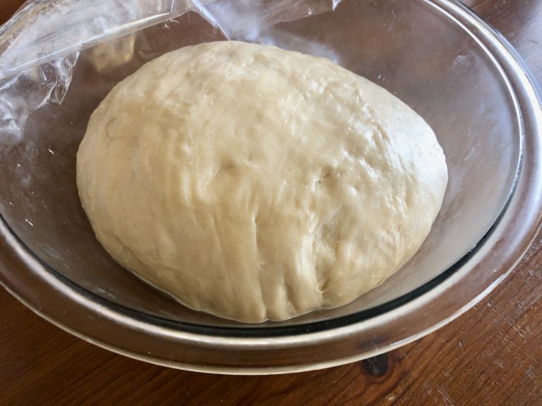 Amish Friendship Bread No Knead Sourdough Bread