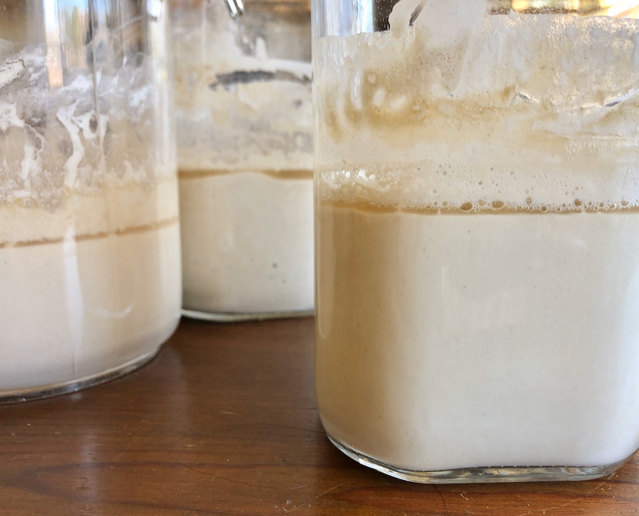 Amish Friendship Bread and Sourdough Hooch - Friendship Bread Kitchen