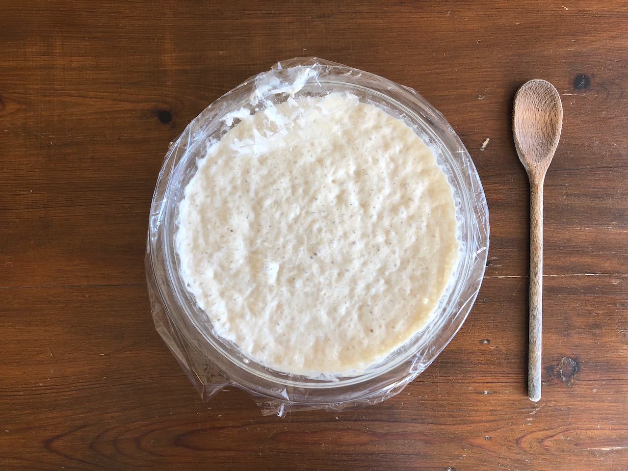 Sourdough Bread With No Scale [For Beginners] - Lauren Nicole Jones, Recipe in 2023