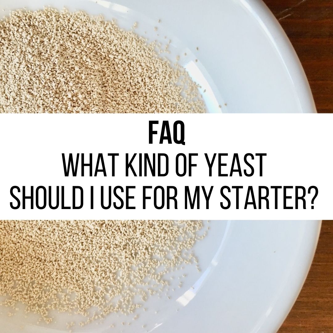 FAQ type of yeast starter - Friendship Bread Kitchen