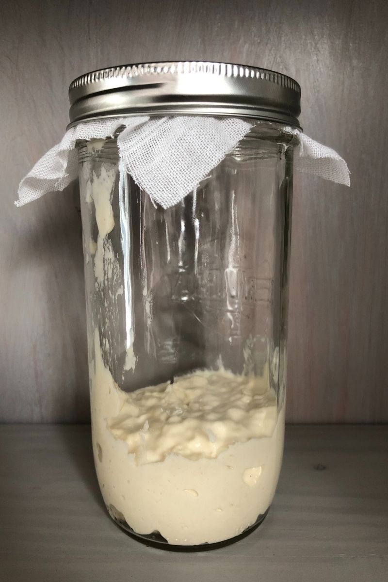 Sourdough Starter 101 