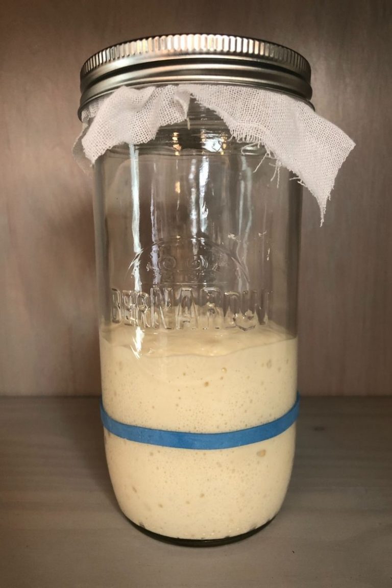 Sourdough Starter 101 | Friendship Bread Kitchen