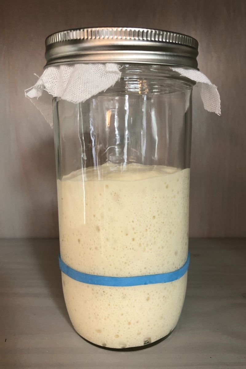 Sourdough Starter 101 | Friendship Bread Kitchen